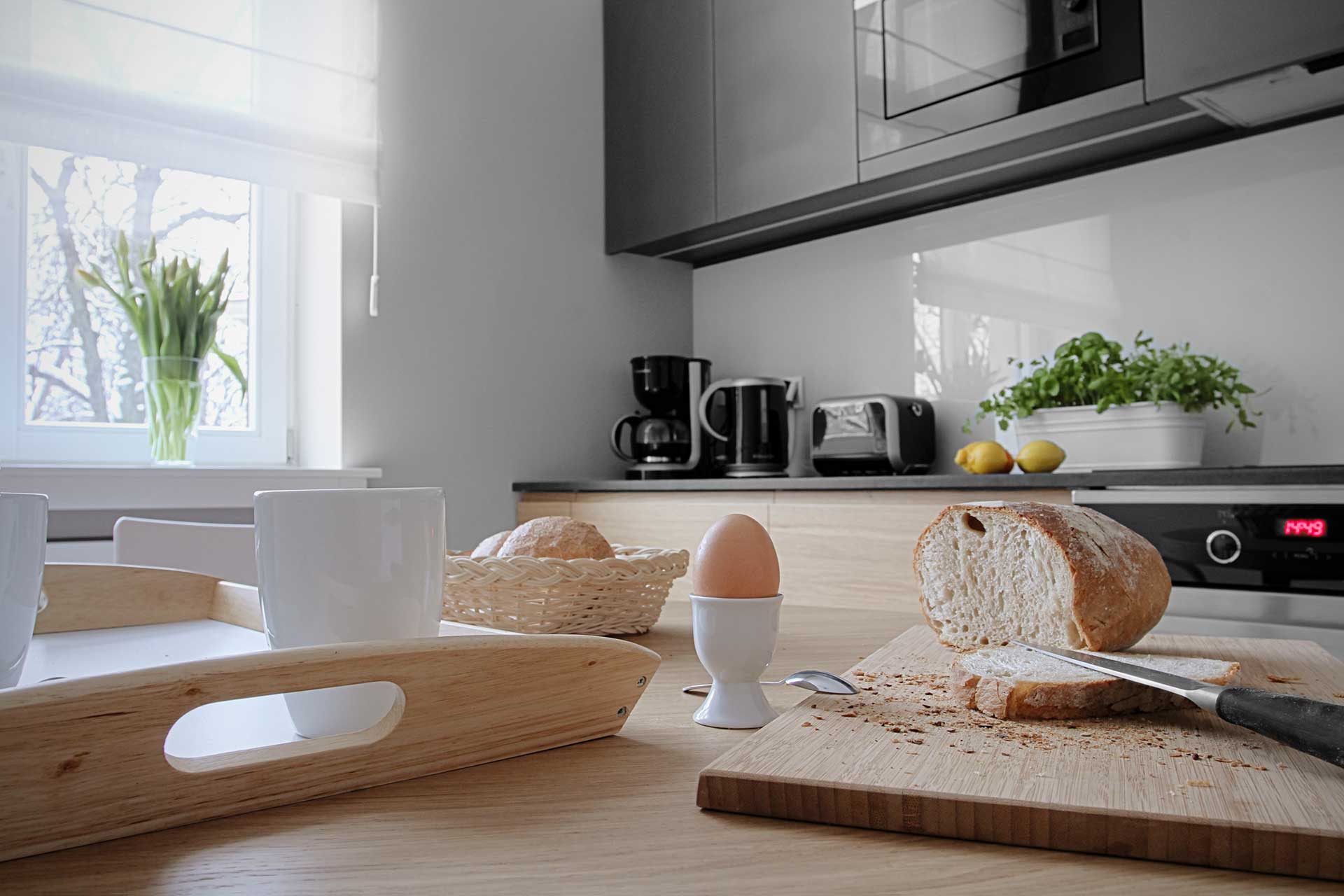 stradonia-apartments-kitchen-breakfast
