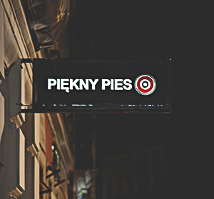piekny-pies-nightlife-in-krakow